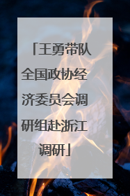 王勇带队全国政协经济委员会调研组赴浙江调研