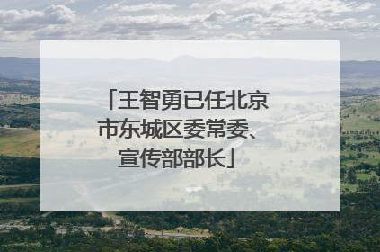 王智勇已任北京市东城区委常委、宣传部部长