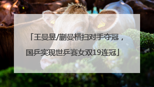 王曼昱/蒯曼横扫对手夺冠，国乒实现世乒赛女双19连冠