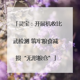 灵宝：开展机收比武检测 筑牢粮食减损“无形粮仓”