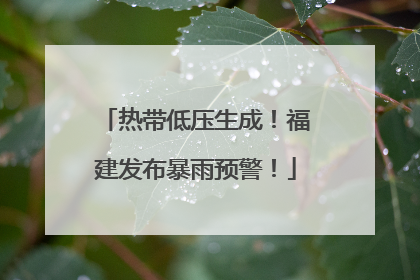热带低压生成！福建发布暴雨预警！