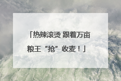 热辣滚烫 跟着万亩粮王“抢”收麦！