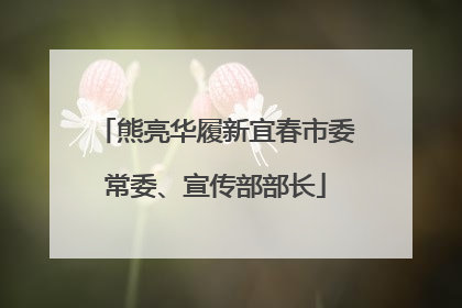 熊亮华履新宜春市委常委、宣传部部长