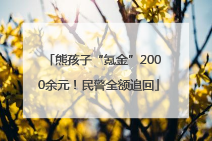熊孩子“氪金”2000余元！民警全额追回