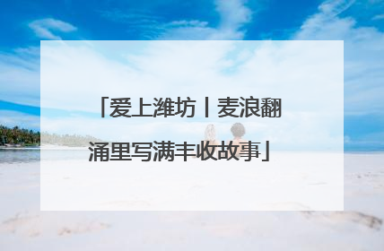爱上潍坊丨麦浪翻涌里写满丰收故事