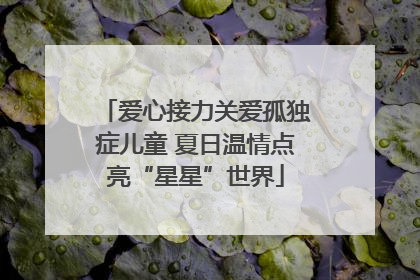爱心接力关爱孤独症儿童 夏日温情点亮“星星”世界