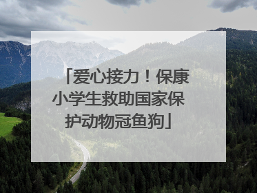爱心接力！保康小学生救助国家保护动物冠鱼狗
