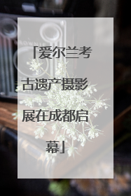 爱尔兰考古遗产摄影展在成都启幕
