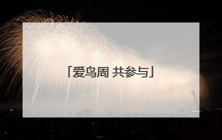 爱鸟周 共参与