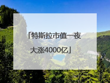 特斯拉市值一夜大涨4000亿