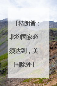 特朗普：北约国家必须达到，美国除外