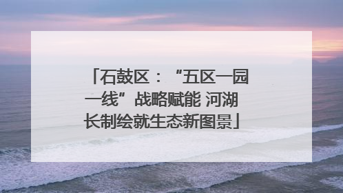 石鼓区：“五区一园一线”战略赋能 河湖长制绘就生态新图景