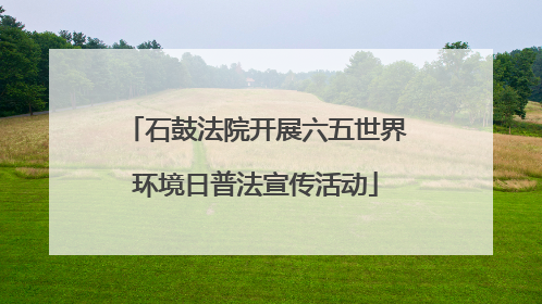 石鼓法院开展六五世界环境日普法宣传活动