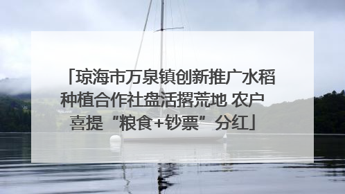 琼海市万泉镇创新推广水稻种植合作社盘活撂荒地 农户喜提“粮食+钞票”分红