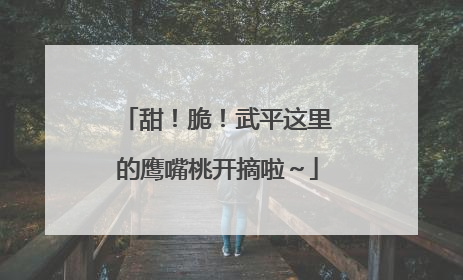 甜！脆！武平这里的鹰嘴桃开摘啦～