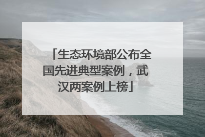 生态环境部公布全国先进典型案例，武汉两案例上榜