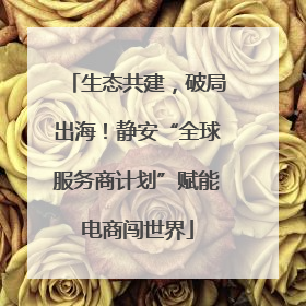 生态共建，破局出海！静安“全球服务商计划”赋能电商闯世界