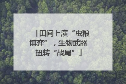 田间上演“虫粮博弈”，生物武器扭转“战局”