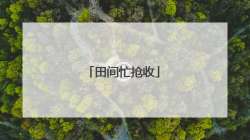 田间忙抢收