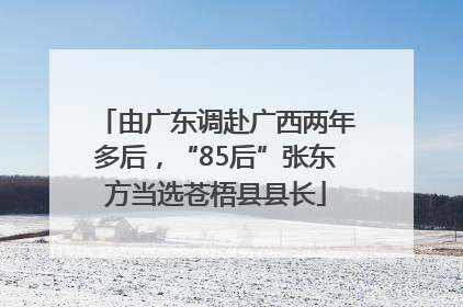 由广东调赴广西两年多后，“85后”张东方当选苍梧县县长