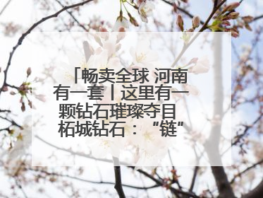 畅卖全球 河南有一套丨这里有一颗钻石璀璨夺目 柘城钻石：“链”就发展新动力