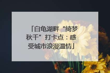 白龟湖畔“绮梦秋千”打卡点：感受城市浪漫温情