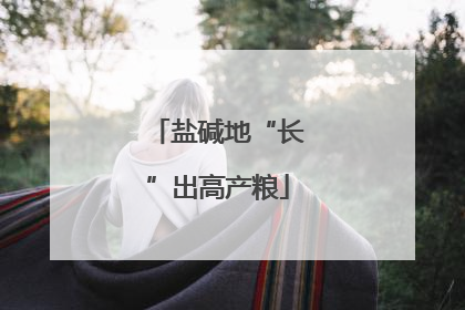 盐碱地“长”出高产粮