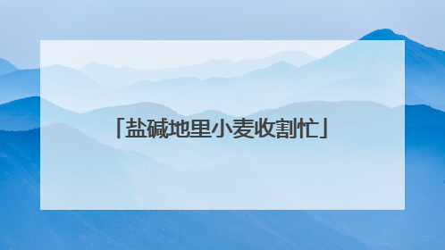盐碱地里小麦收割忙