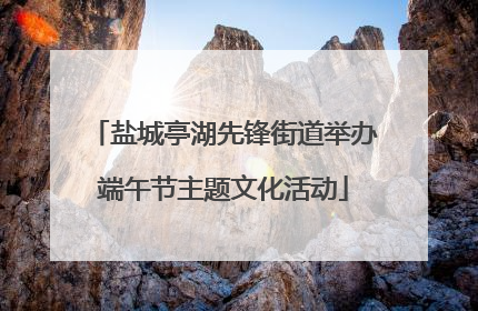 盐城亭湖先锋街道举办端午节主题文化活动