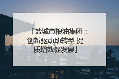 盐城市粮油集团：创新驱动助转型 提质增效促发展
