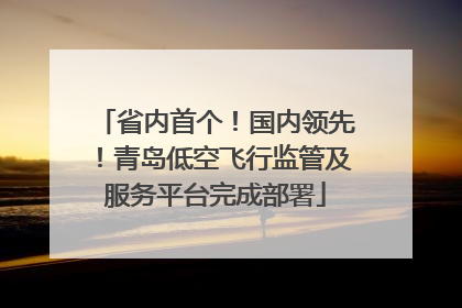 省内首个！国内领先！青岛低空飞行监管及服务平台完成部署