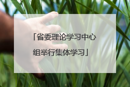 省委理论学习中心组举行集体学习