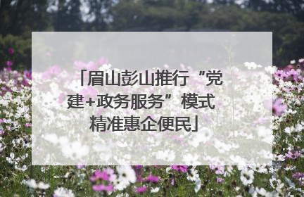 眉山彭山推行“党建+政务服务”模式 精准惠企便民