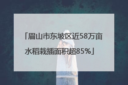 眉山市东坡区近58万亩水稻栽插面积超85%