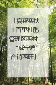 真帮实扶！百里杜鹃管理区两村“威宁鸡”产销两旺