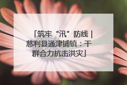 筑牢“汛”防线｜慈利县通津铺镇：干群合力抗击洪灾