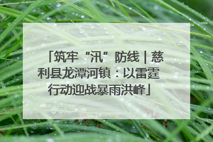 筑牢“汛”防线｜慈利县龙潭河镇：以雷霆行动迎战暴雨洪峰