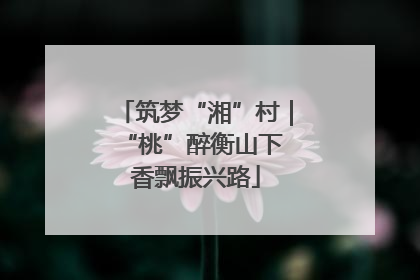 筑梦“湘”村｜“桃”醉衡山下 香飘振兴路