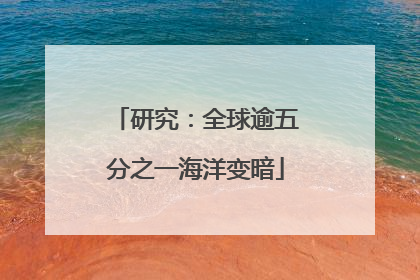 研究：全球逾五分之一海洋变暗