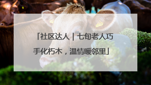 社区达人｜七旬老人巧手化朽木，温情暖邻里