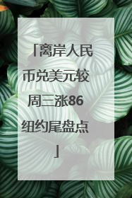 离岸人民币兑美元较周三涨86纽约尾盘点