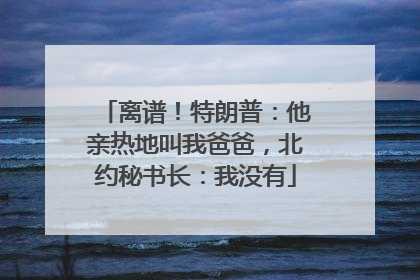 离谱！特朗普：他亲热地叫我爸爸，北约秘书长：我没有