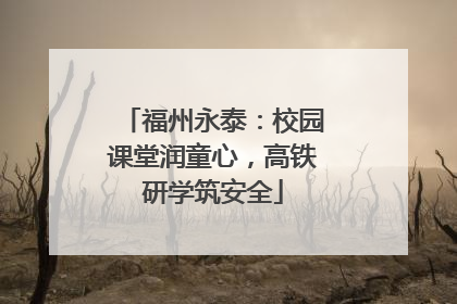 福州永泰：校园课堂润童心，高铁研学筑安全