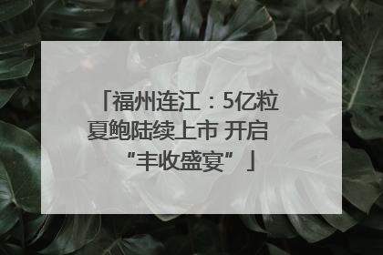 福州连江：5亿粒夏鲍陆续上市 开启“丰收盛宴”