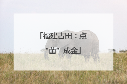 福建古田：点“菌”成金