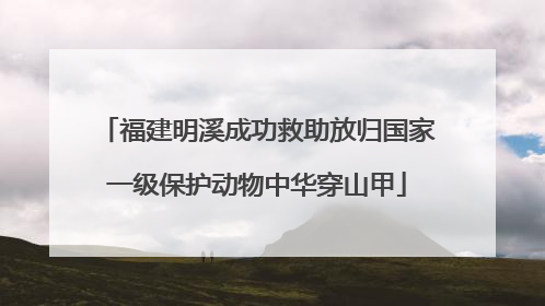 福建明溪成功救助放归国家一级保护动物中华穿山甲