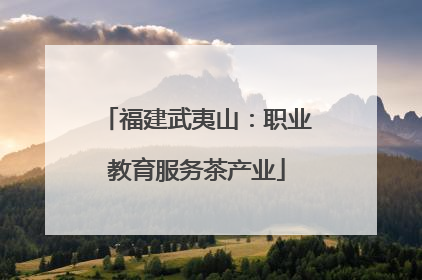福建武夷山：职业教育服务茶产业