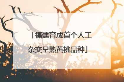 福建育成首个人工杂交早熟黄桃品种
