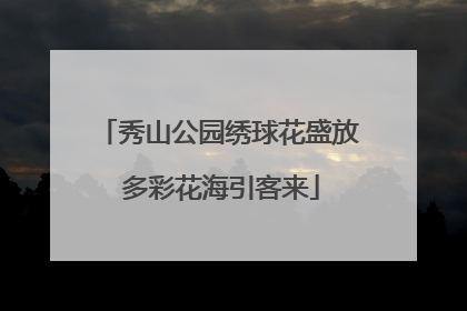 秀山公园绣球花盛放 多彩花海引客来