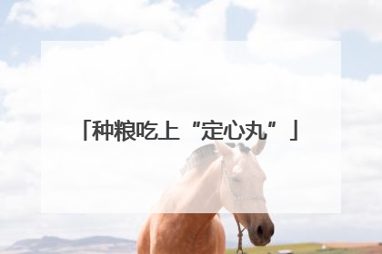 种粮吃上“定心丸”